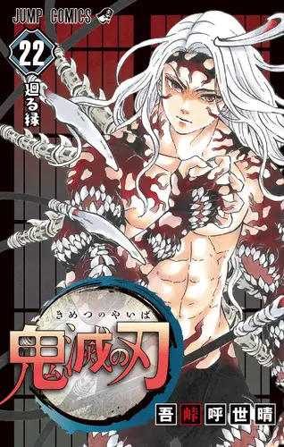 Demon Slayer Manga Volume 22, Kimetsu no Yaiba